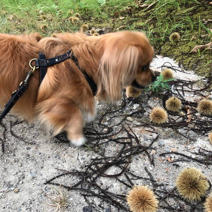 D05cacdc 2fa1 49e1 9a94 db98ec4965c0 1533849541123