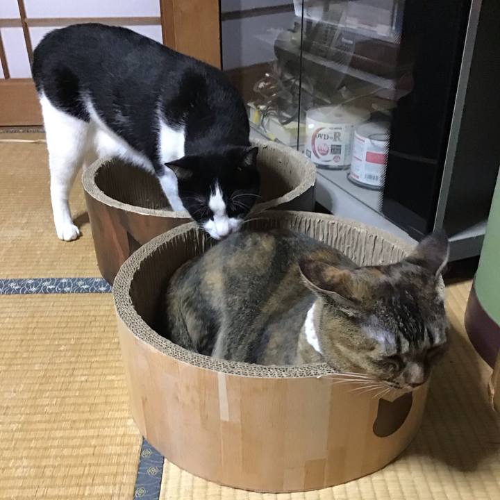 D05cbd45 a2de 410b 8494 497c61e1c39b 1726224214451