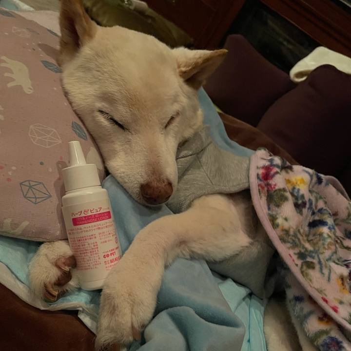 D05cbfd4 7e59 4c99 9d18 c75a1771296a 1673524098066