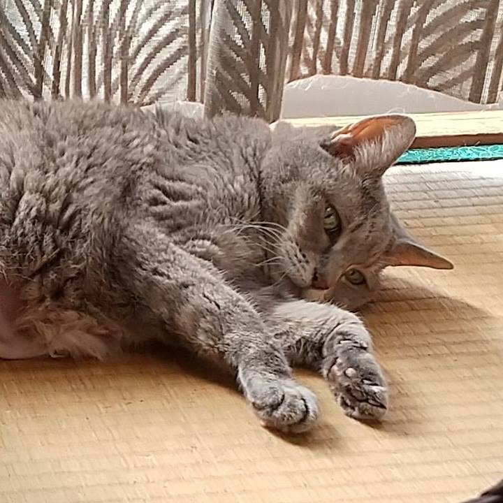 D05d0e76 bac8 44b1 a7cd 3392ee3d0353 1662853162668