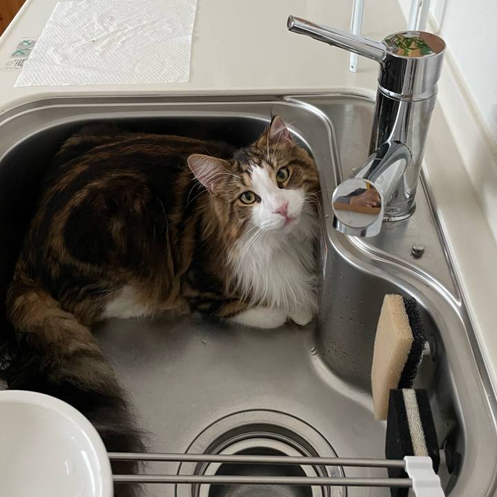 D05d318f bb49 4ead 9dab 304b63643144 1656540501283