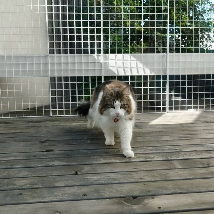 D05d3977 0a81 49f4 8c01 285edb1fcb58 1732535150720