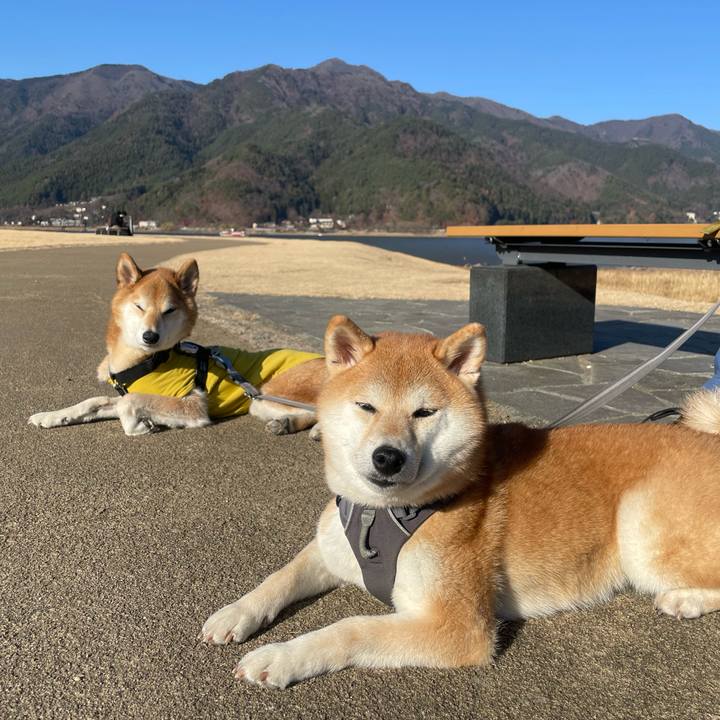 D05d4957 1d98 400b 9c31 c1baad1026d9 1764856257372