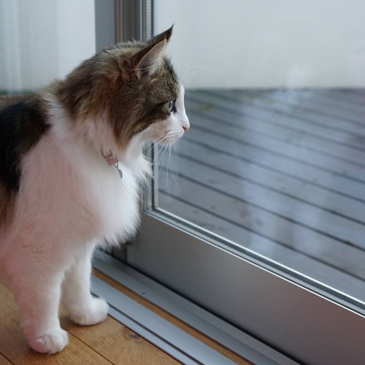 D05d903e 1334 4135 91a9 2b00ca3d0c7a 1580456498771