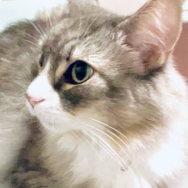 D05d9861 3d80 490c 8e2b d530d7f270f1 1760369096946