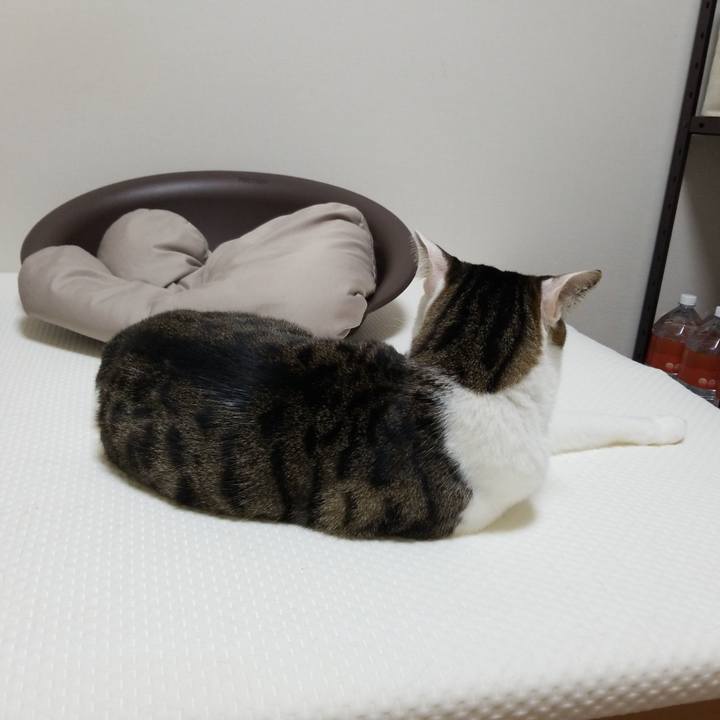 D05dc2b4 59e2 49b9 b47d fdabaf3f5c32 1588709195963