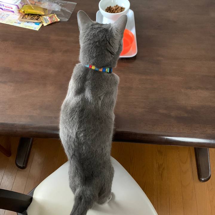 D05e0999 801f 47bc 9952 96679a22841a 1643150147931