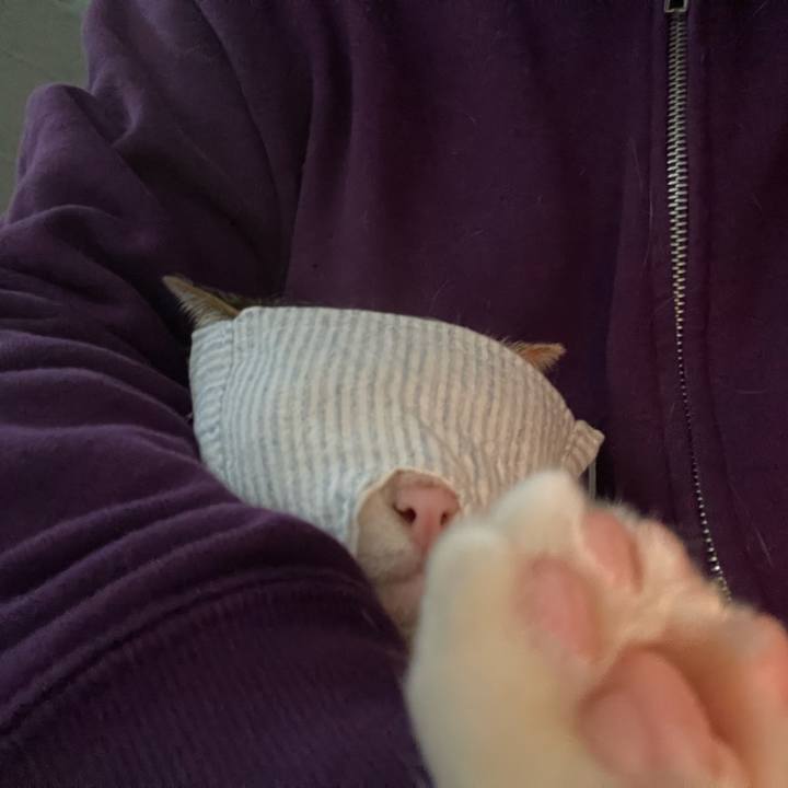 D05e3224 555c 4f5b 95f7 9829e41b1680 1712120866226