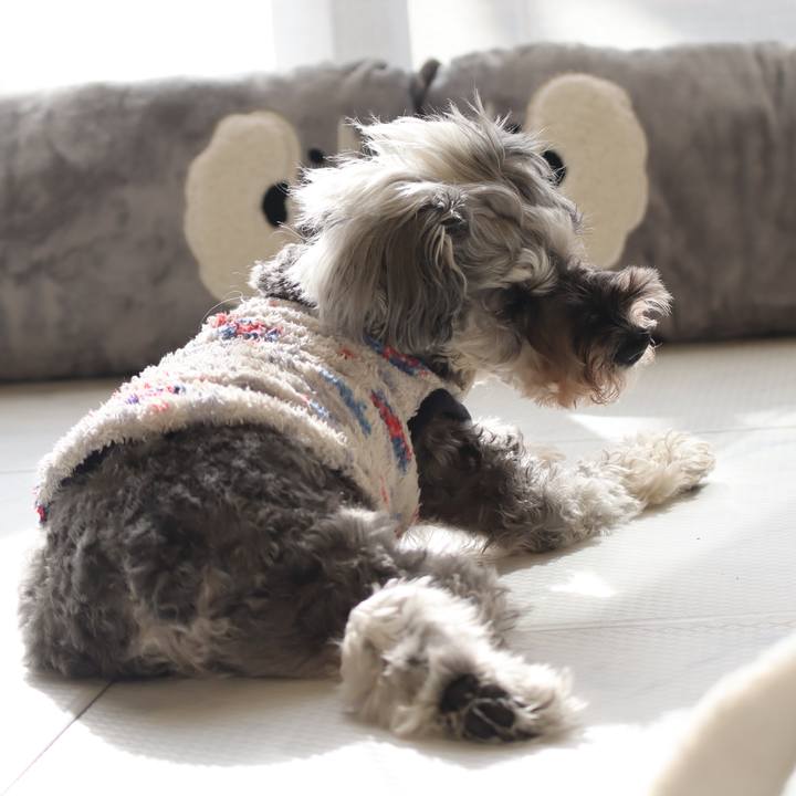 D05e40e7 e4f2 43d4 8ded 690f5ffd6f01 1773216618797