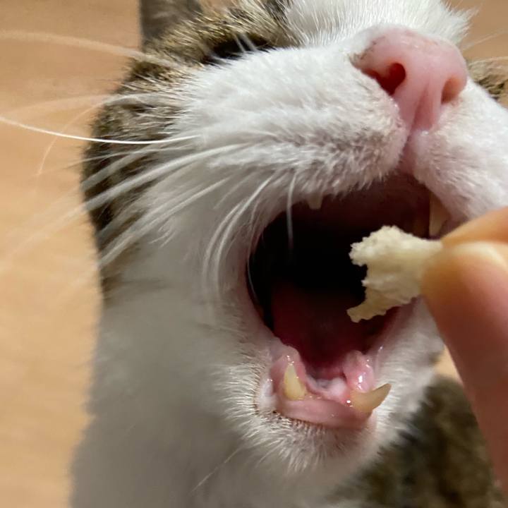 D05e4a83 0dd4 498a 8c1c 0a3c6359ca09 1594214611477