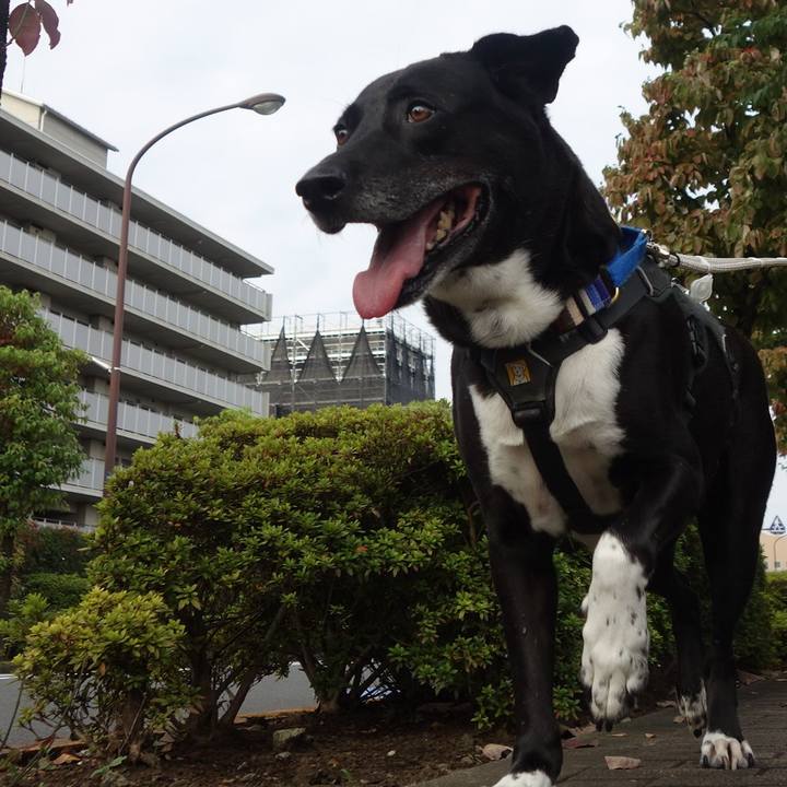 D05ecdb4 16a0 4292 8dc8 d2e09c5be4f9 1664758604330