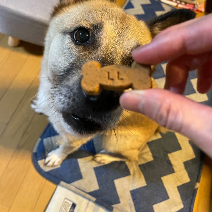 D05edeaf 0fb8 4c88 a4e5 4cc498511677 1725537499813