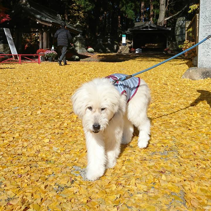 D05ee91b e1e6 4561 a6a3 daa4d3c8b0f6 1605417639798