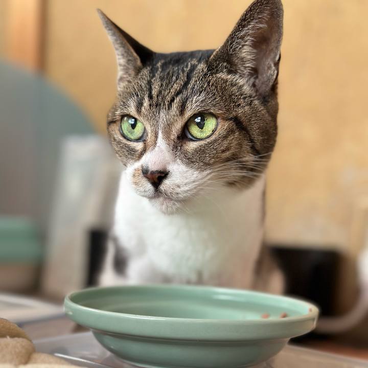 D05f0941 4c53 417a b80f f0ba4f6dac8b 1671065511803