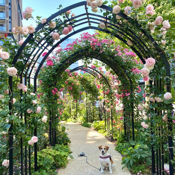 D05f1644 298f 4996 bac4 aab066bb416b 1654068335393