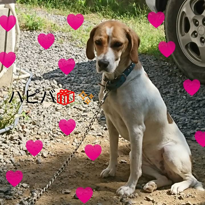 D05f1885 dd00 4d16 a183 3c60e780ad69 1562485870054