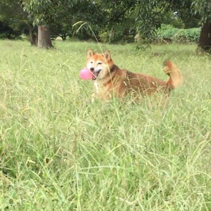 D05f2a91 cebf 43f2 931a 5992a15e854e 1601958978224