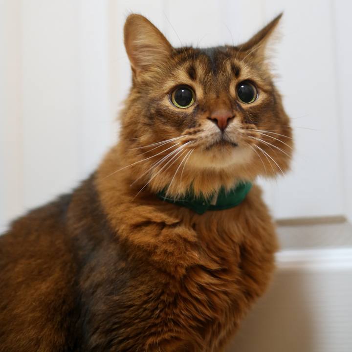 D05f6186 20f4 4cae a6c7 d2ea09b5ccc9 1669214178393