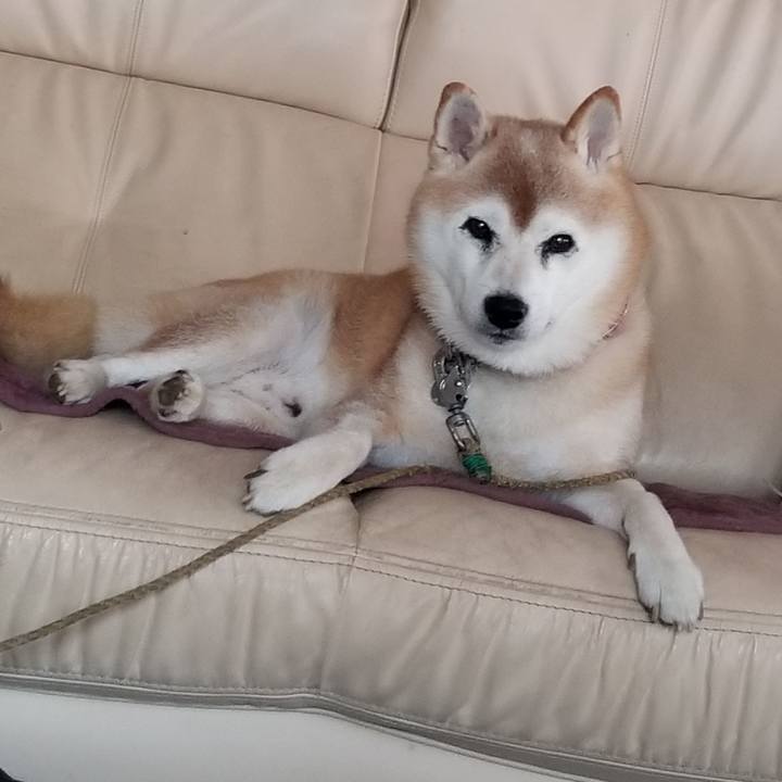 D05f74b3 e722 424a a9a5 22cd04c1b4d7 1727396219510