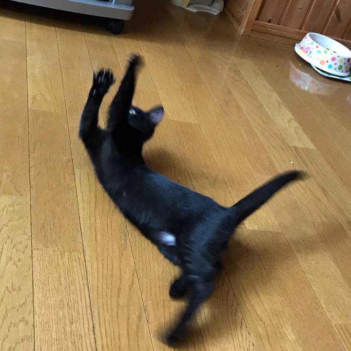 D05f96a1 e7df 47e9 9678 527f324dc7d0 1565393849883