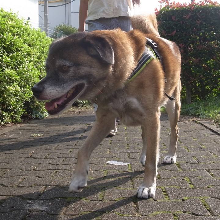 D06006e7 6014 40fc 9fc6 3099543016ed 1589763317305