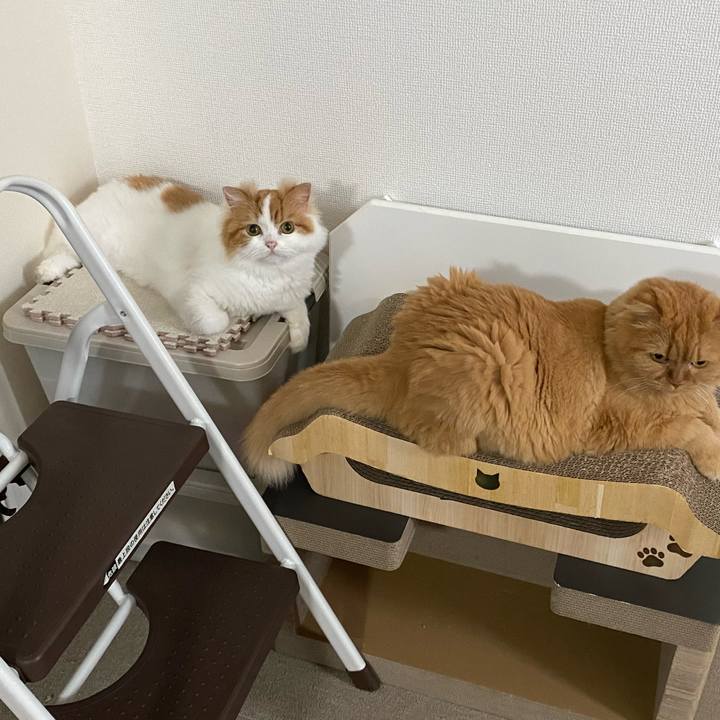D0601208 de1b 411d 9ed5 bf76466ad3bb 1724300575285