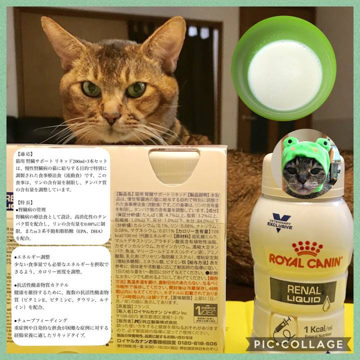 D060423c 256c 4518 9e86 335c97598ef7 1549882476384