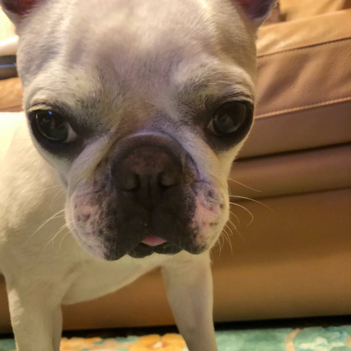 D0609140 1c53 4b97 964a b958fff3edc6 1539515763060