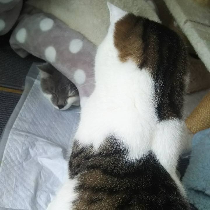 D060c773 6a99 43b0 8335 be0367f67536 1524712454708