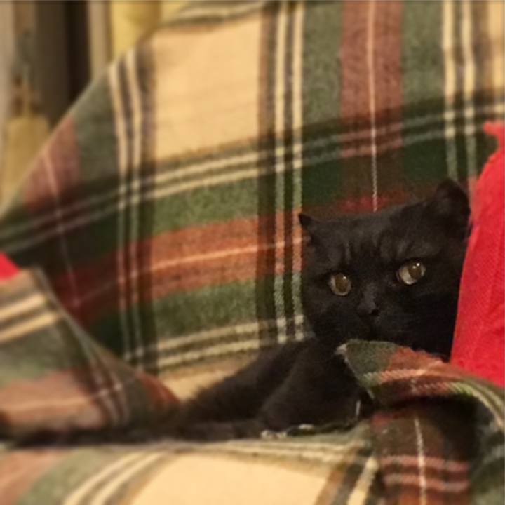 D060d862 a4ad 475f 9de9 58420cb3a08e 1526137838162