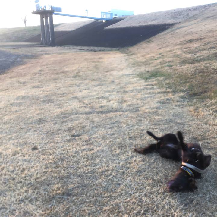 D06103ba 18f4 4842 bf00 58cc99648b83 1579829424696