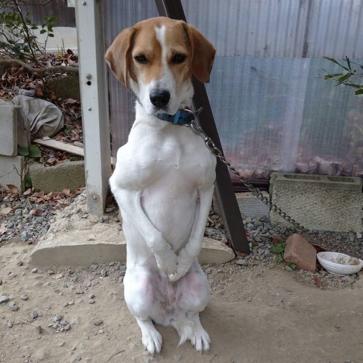 D061151b 9d35 4198 a91c c55f06b185a0 1608277129385