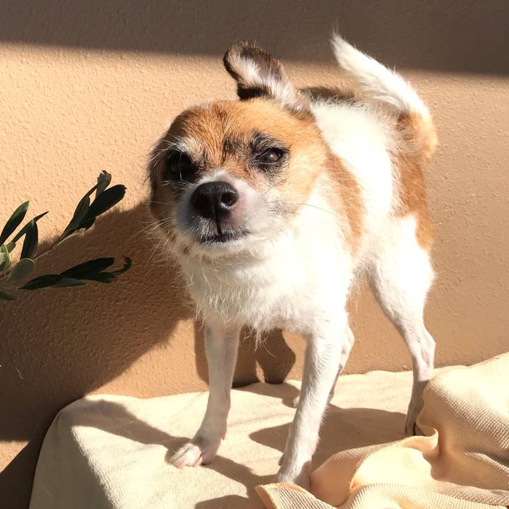 D0612e96 7d45 47b0 9787 a59774754b79 1538437880887