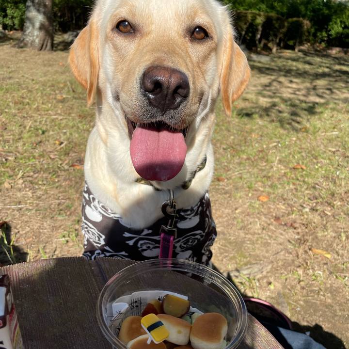 D06135bd fb28 4e2b aa63 1f6aee724c06 1665563607189