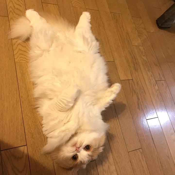 D061609f be3b 4b5c b3bd 195c6ae57bbb 1529156736417