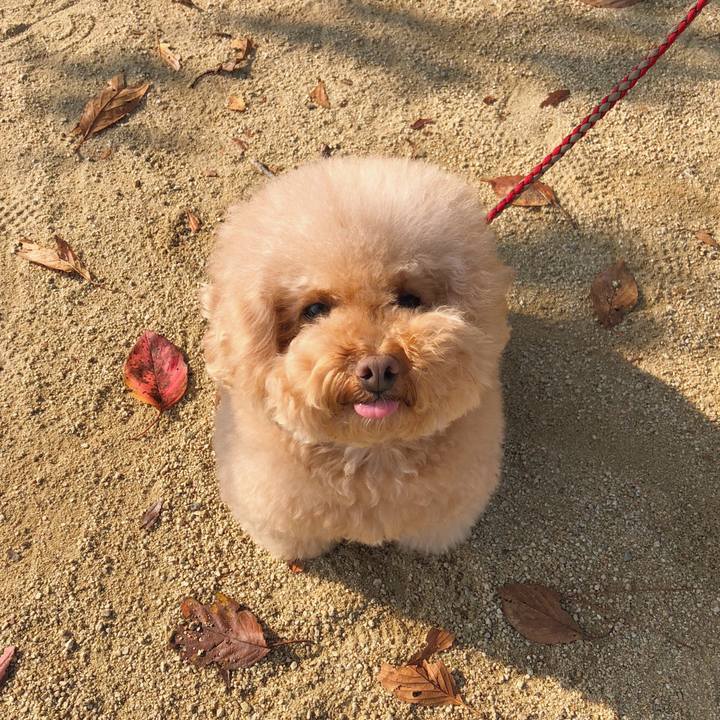 D061688f dec0 4f5b 8f75 871864a724cd 1509760008851