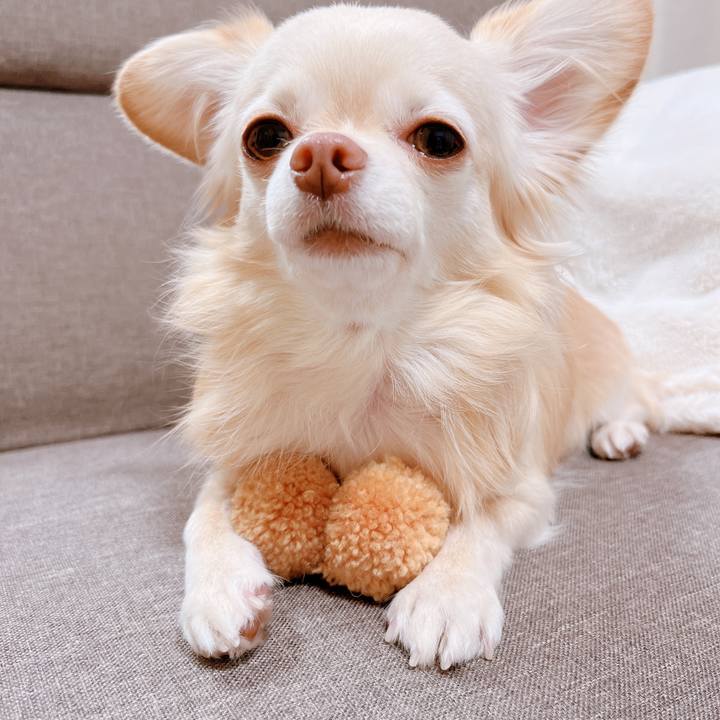 D0617974 9b0a 4392 9d57 59a24bdb8ddc 1669716029533