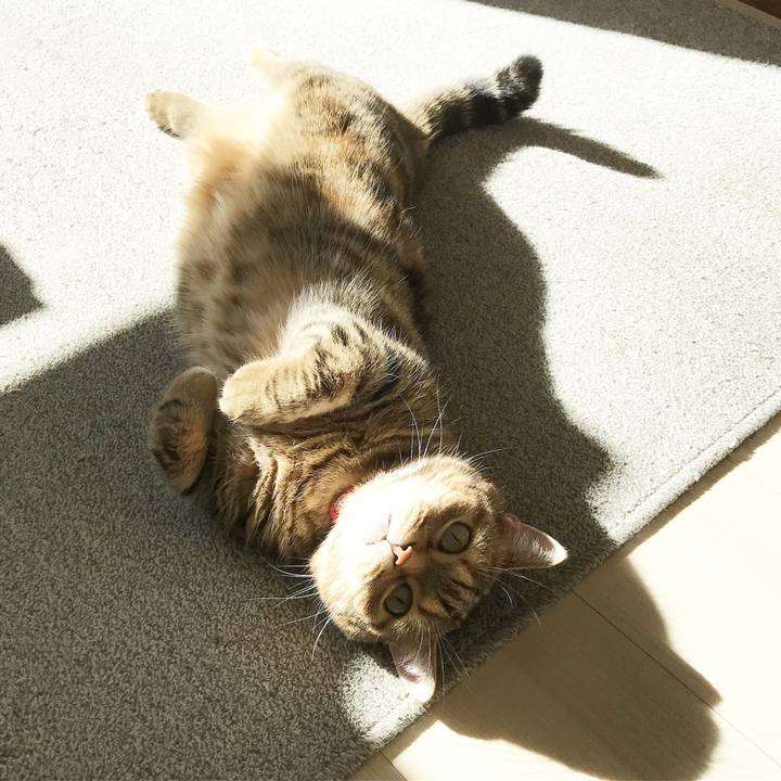 D0619d96 ddda 4900 a941 7faf67340f9a 1547177938718