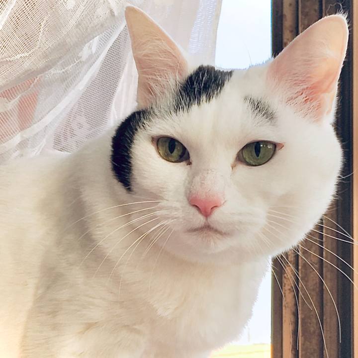 D061b705 7f0a 4051 80a7 c181108bda3c 1585628287429