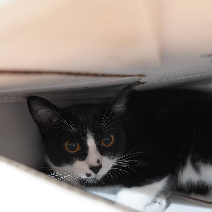 D061d300 94e0 4bca bf63 579d9a2ac2d1 1595376432255