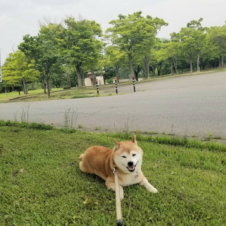 D061d627 5b84 40e1 a6d9 3849f1baa2c5 1684397601185