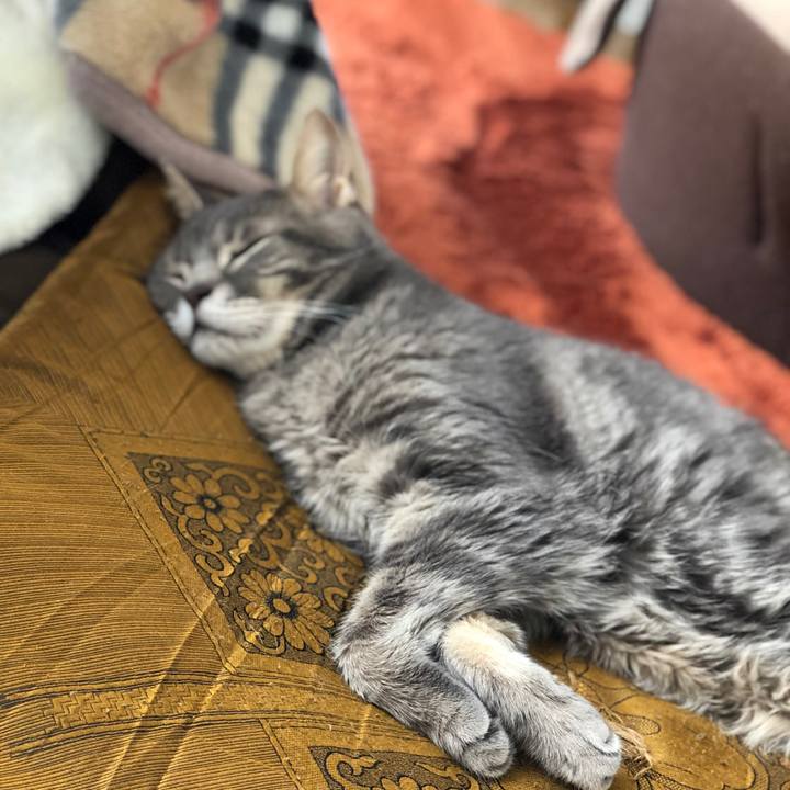 D0620048 ff8b 4910 b71a 3db75ca3253b 1561553462504