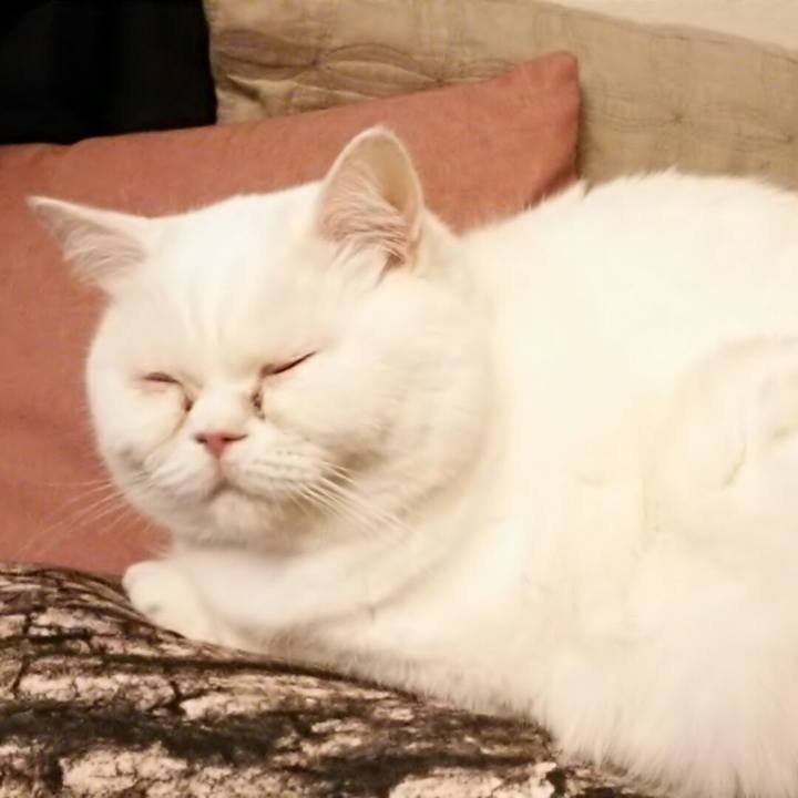 D0620d1c 9656 4776 8872 0cb2f59c4d16 1519477114829