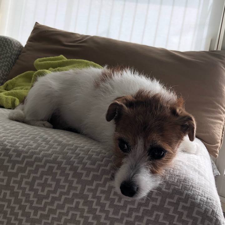 D06275e9 6393 4c12 9cfc 1f7b606d300f 1620513963853