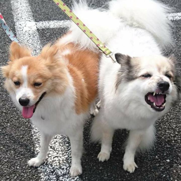 D062842d 58d6 4ace 903e 66a44fa28aff 1572781063190