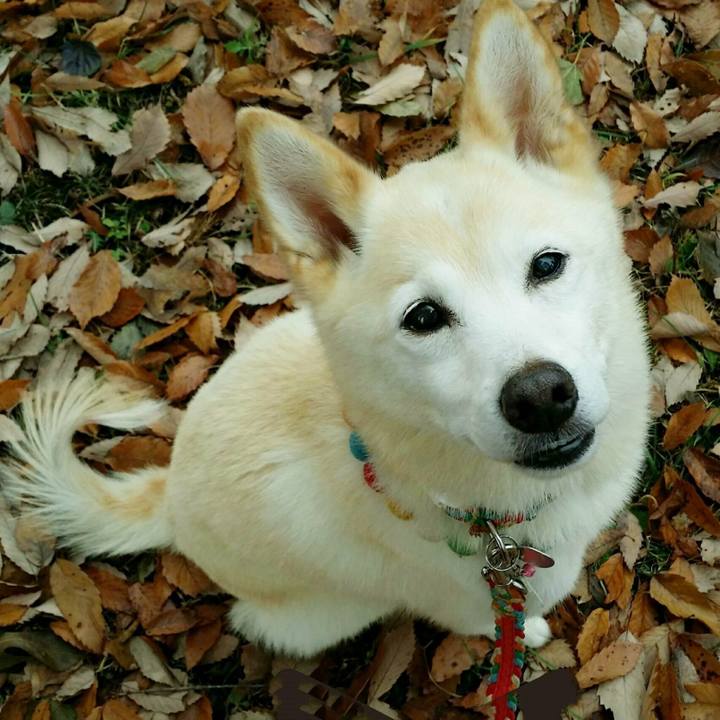 D0628c43 3dfe 410b b0ae dc3eb488db91 1597925373902