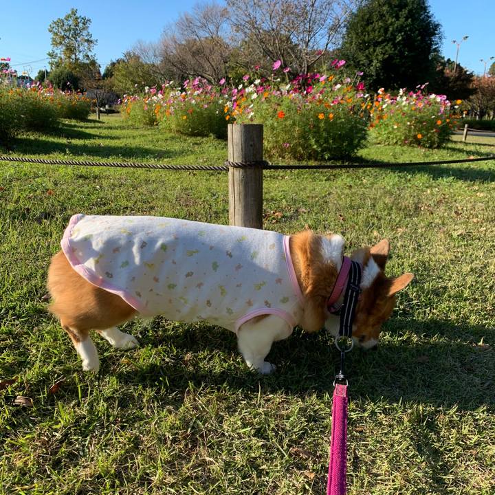 D0629611 b4c4 42ab 869b 0fffbeb36db3 1573548302758