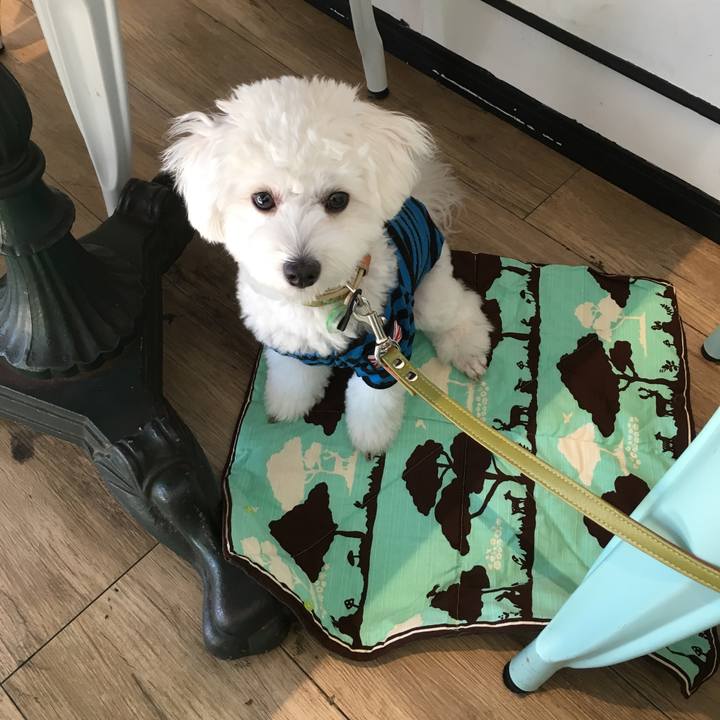 D062ace1 9ac6 4bec 94cd 2c408488566a 1509009989676