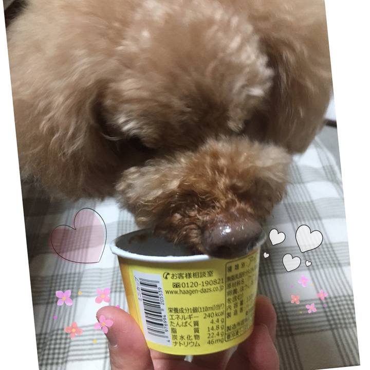 D062b4f2 b6f0 4cb3 a3cb 04e18cf26ad0 1529062674089