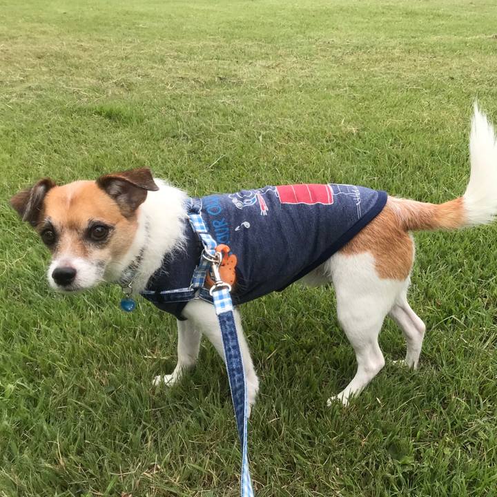 D062ba77 c6fb 4a1a b3f8 76fc0d5425f0 1536736583911